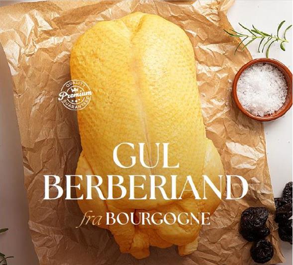 Gul Berberie and fra Bourgogne