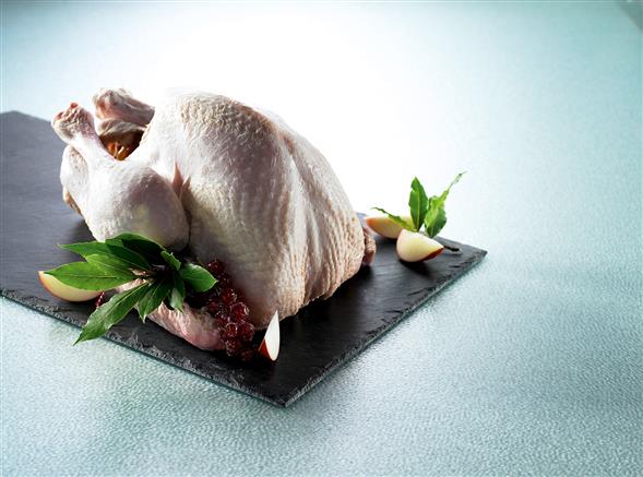 Kalkun, frisk 4-5 kg hel eller farseret Jul